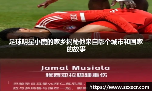 足球明星小鹿的家乡揭秘他来自哪个城市和国家的故事